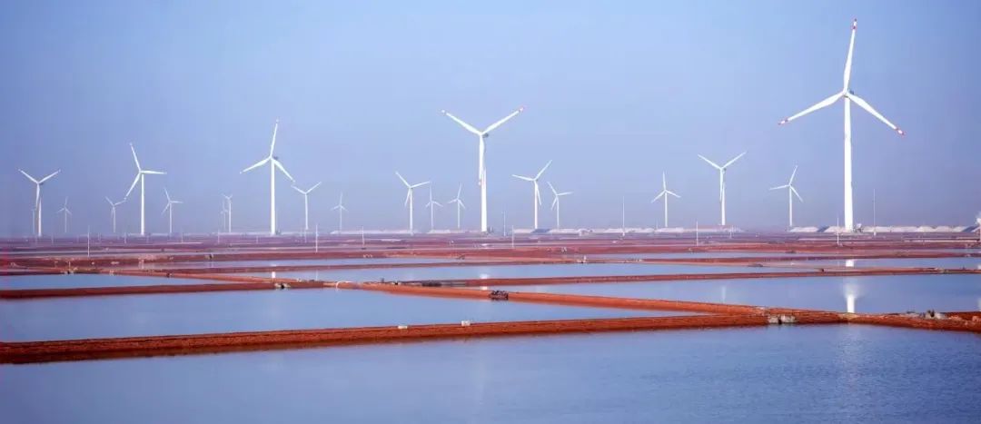 1713853766731976.jpg 796.jpg