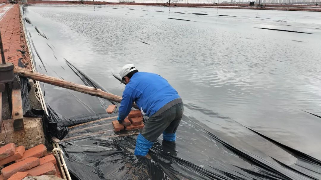 1714006235865132.jpg 640.jpg