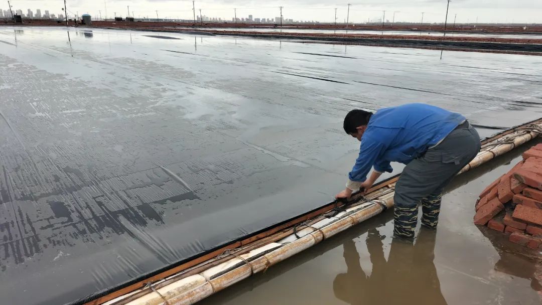 1714006251643778.jpg 640 (1).jpg