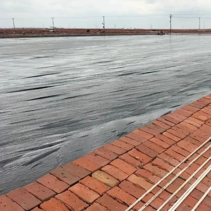 1714006338513337.jpg 640 (4).jpg