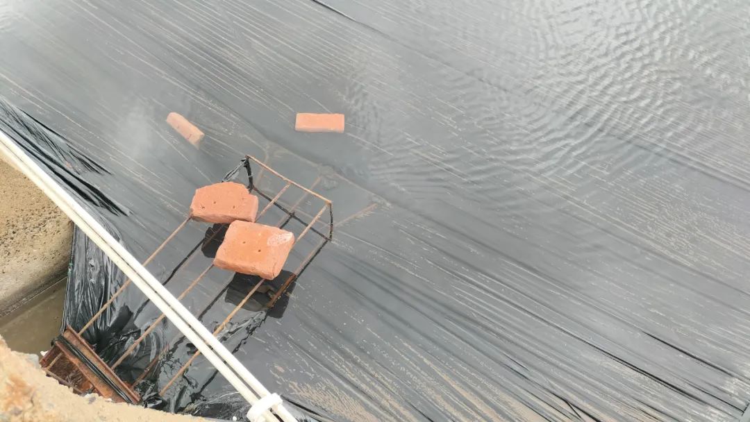 1714006354261941.jpg 640 (5).jpg