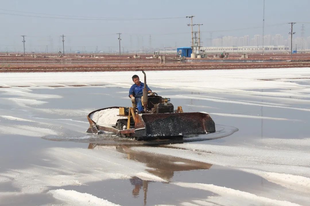 1716443371924566.jpg 640.jpg