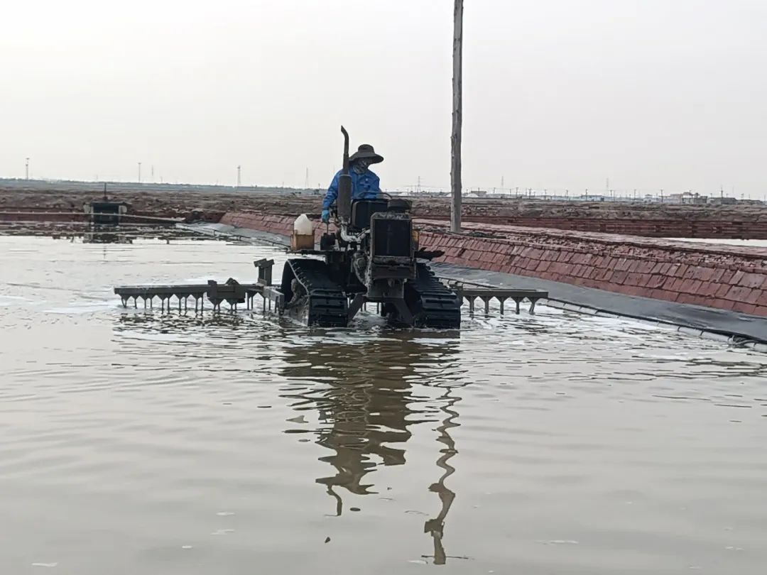 1716443406797277.jpg 640 (2).jpg