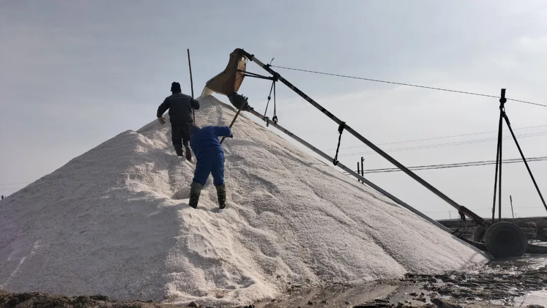 1716443447418680.png 640.png