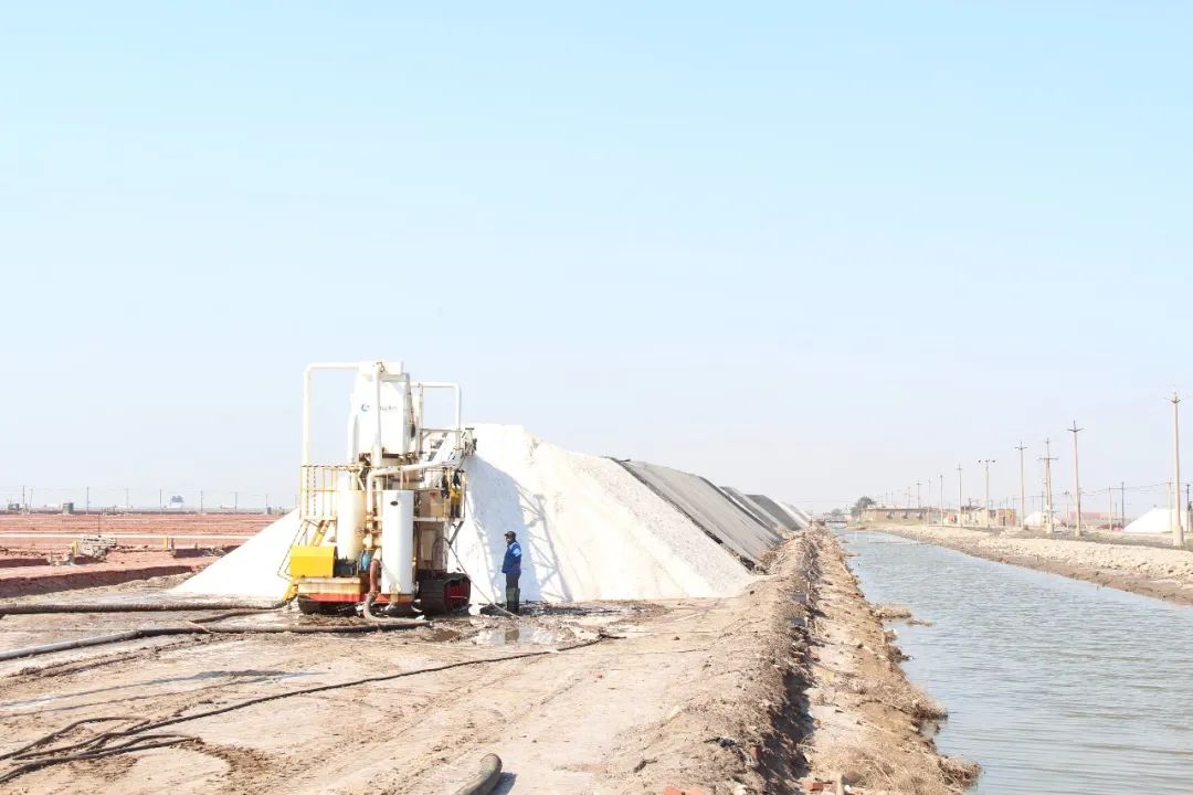 1716443458952716.jpg 640 (5).jpg