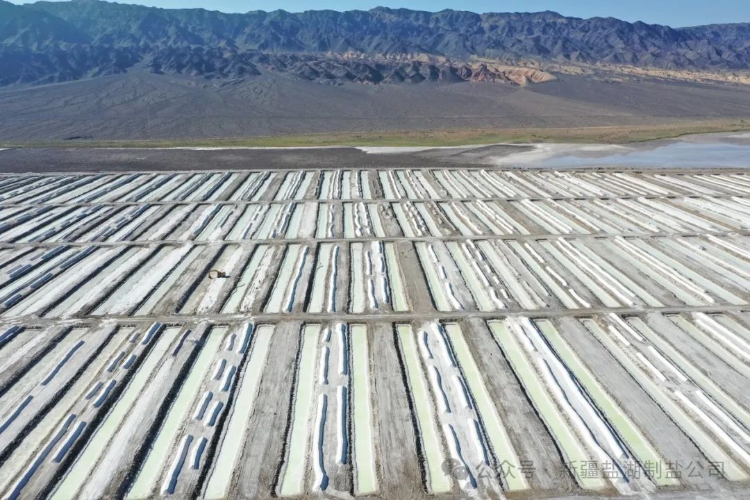 1716531965825365.jpg 640 (1).jpg