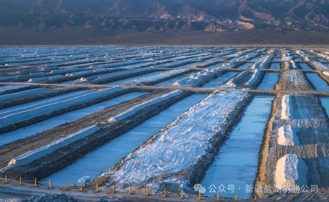 1716531982233437.jpg 640 (2).jpg