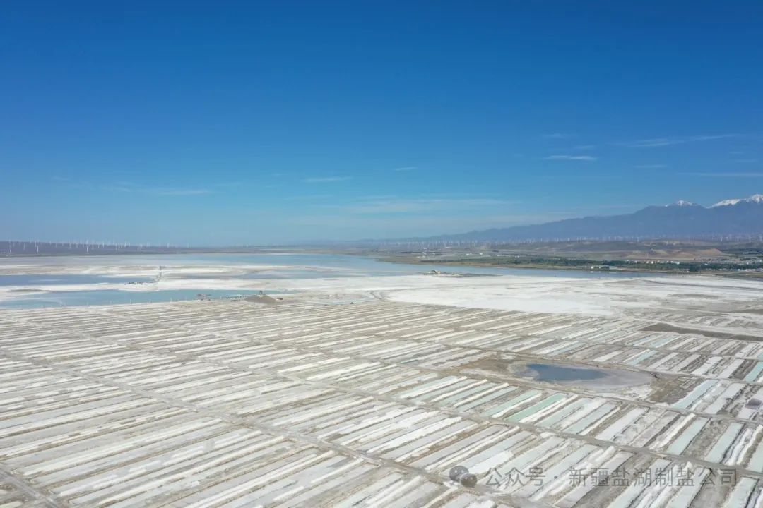 1716532002335403.jpg 640 (3).jpg