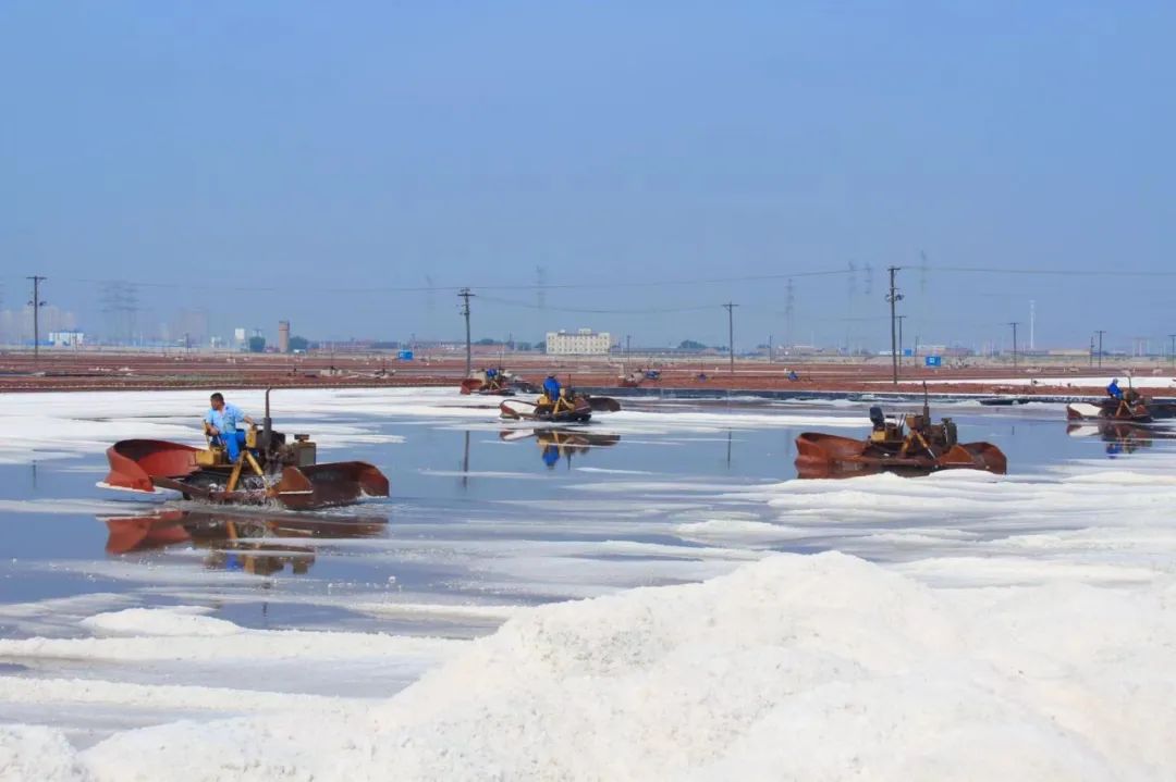 1717396340104162.jpg 640.jpg