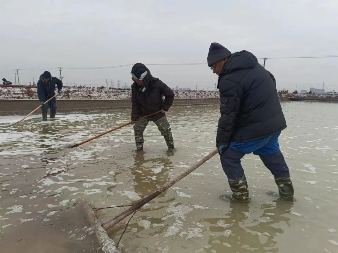 1717396352581026.jpg 640 (1).jpg