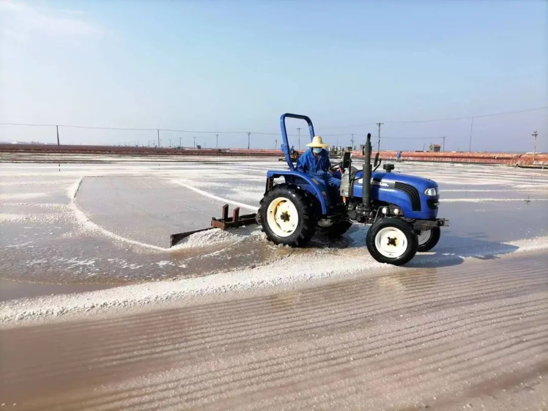 1717396388413782.jpg 640 (3).jpg