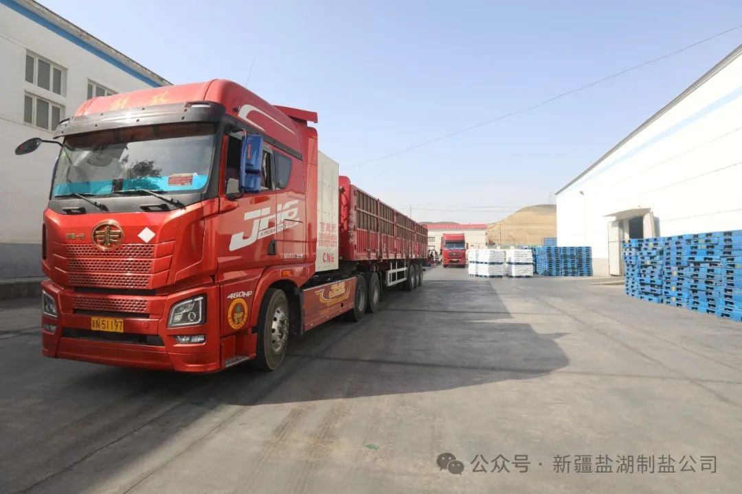 1733464341579764.jpg 640 (1).jpg