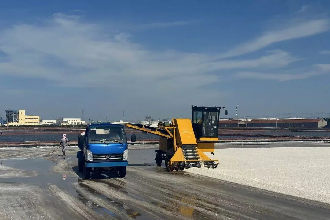 1761026053296661.jpg 640 (1).jpg