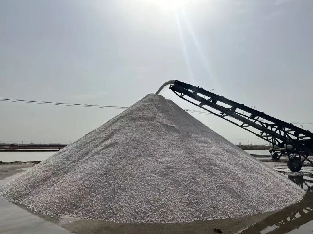 1761026073601691.jpg 640 (2).jpg