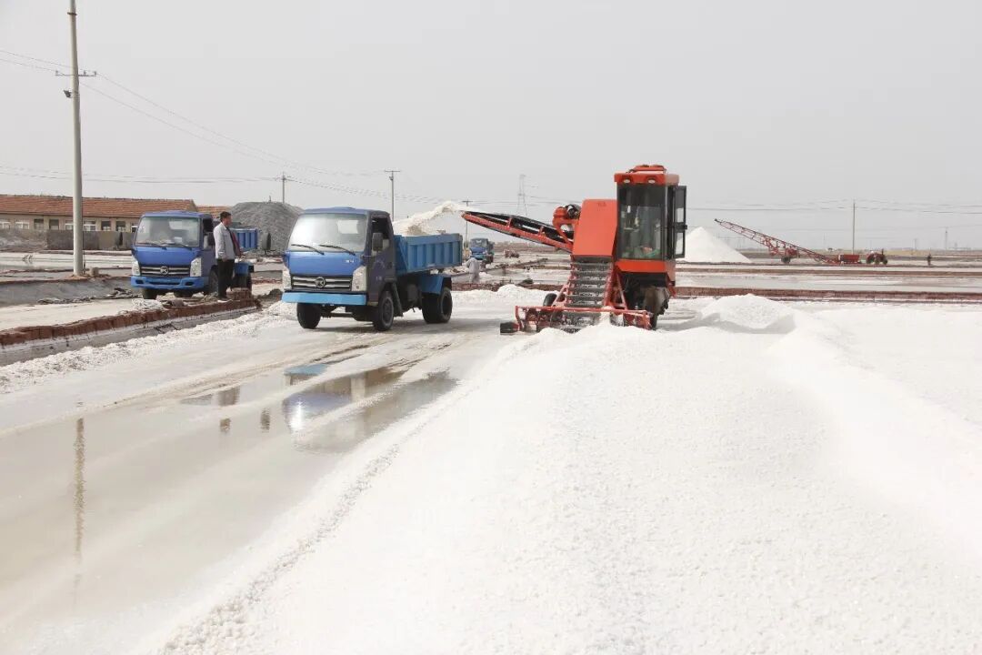 1761026094446440.jpg 640 (3).jpg