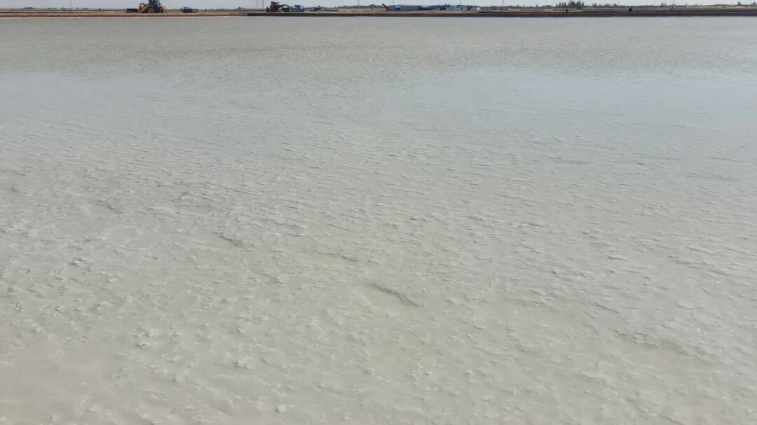 1761888946723534.jpg 640 (1).jpg