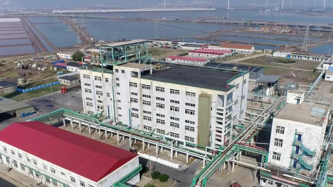 1762235637990896.jpg 640 (5).jpg