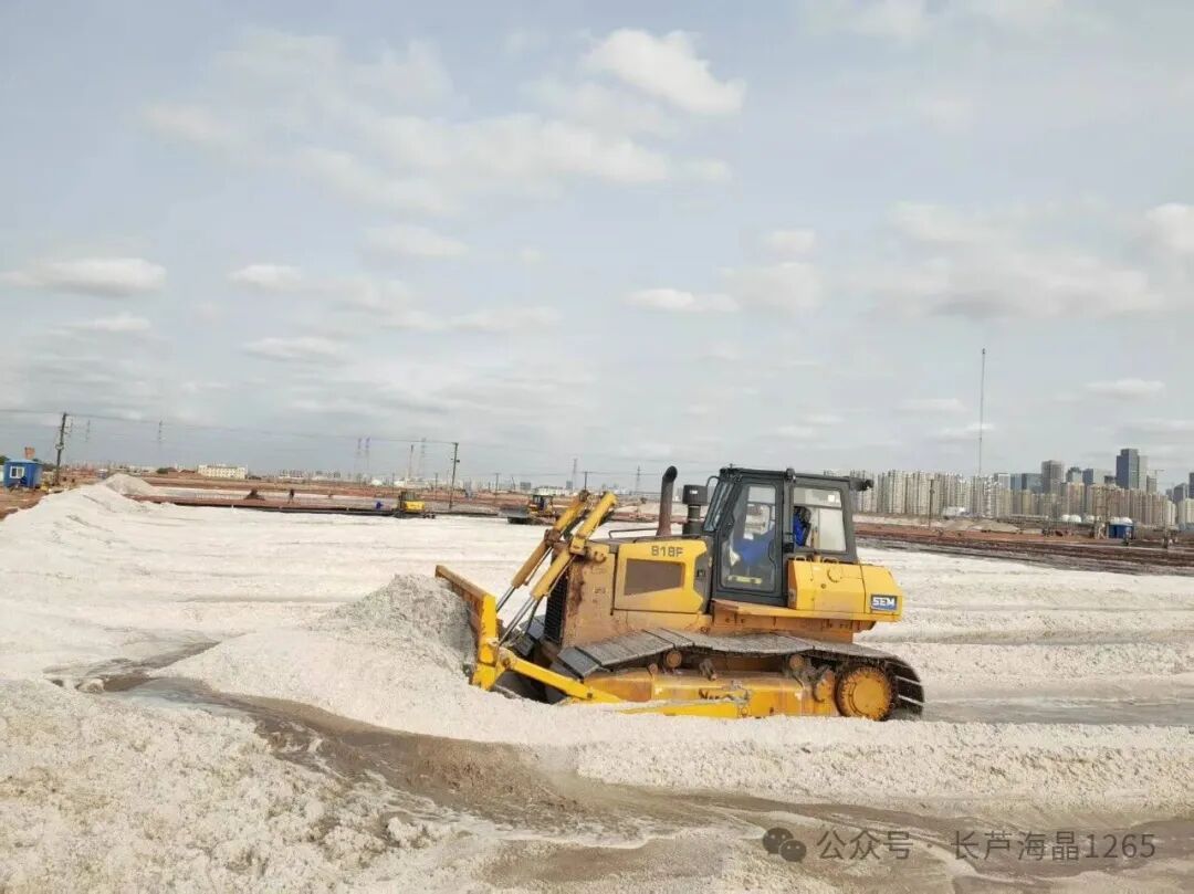 1762494283272544.jpg 640.jpg