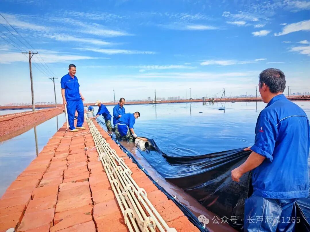 1762494313857554.jpg 640 (1).jpg