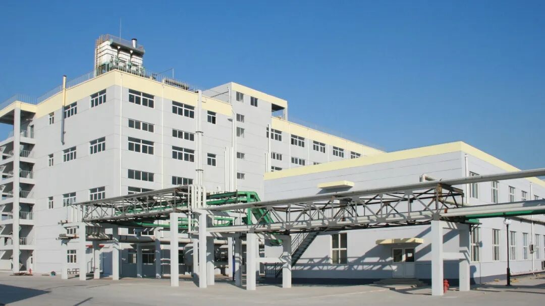 1767074008771939.jpg 640 (3).jpg